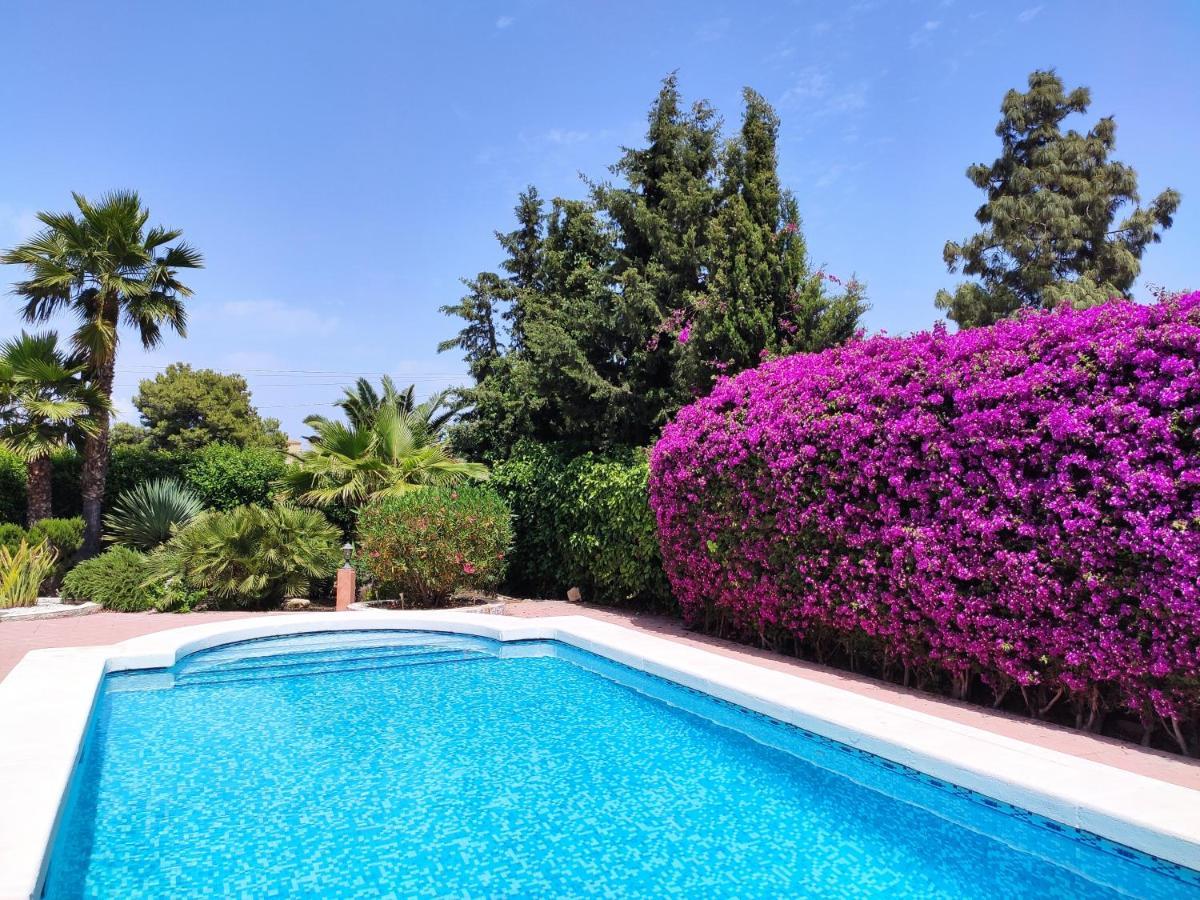 Villa With Private Pool, Bbq, Fitness Center & Sauna San Vicente Raspeig Zewnętrze zdjęcie
