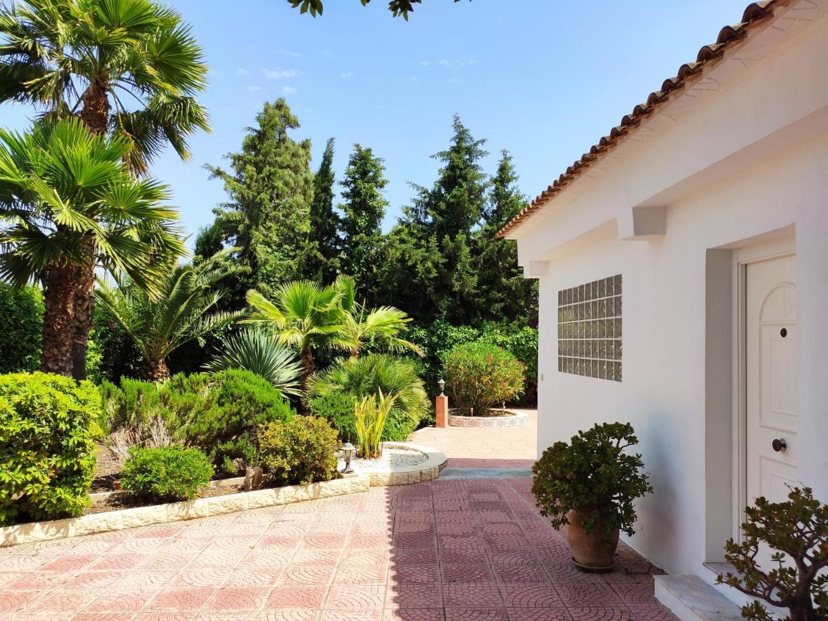 Villa With Private Pool, Bbq, Fitness Center & Sauna San Vicente Raspeig Zewnętrze zdjęcie