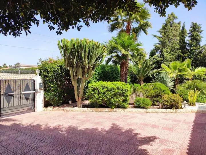 Villa With Private Pool, Bbq, Fitness Center & Sauna San Vicente Raspeig Zewnętrze zdjęcie